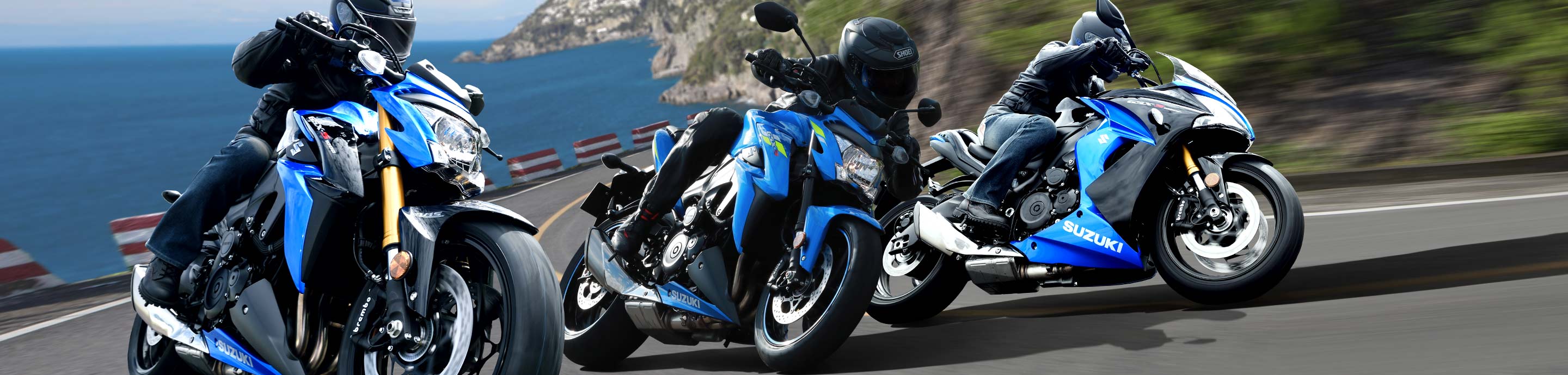 Verkleidung Suzuki GSXR 1000