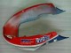 Blau Rot Castrol Zykluswelt Honda CBR 600 F4i 04-07 Motorrad Verkleidungen